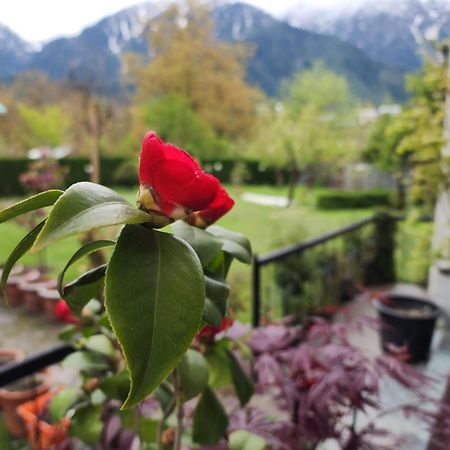 Premier Pahalgam Hotel Ngoại thất bức ảnh